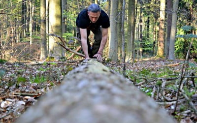 My Ideal Workout Regime