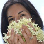Using Elderberry Blossoms PLUS 5 Sure-Smile Summer Recipes