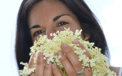 Using Elderberry Blossoms PLUS 5 Sure-Smile Summer Recipes