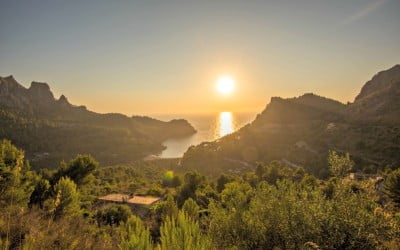 Sun: Instructions for Use (Part 1)