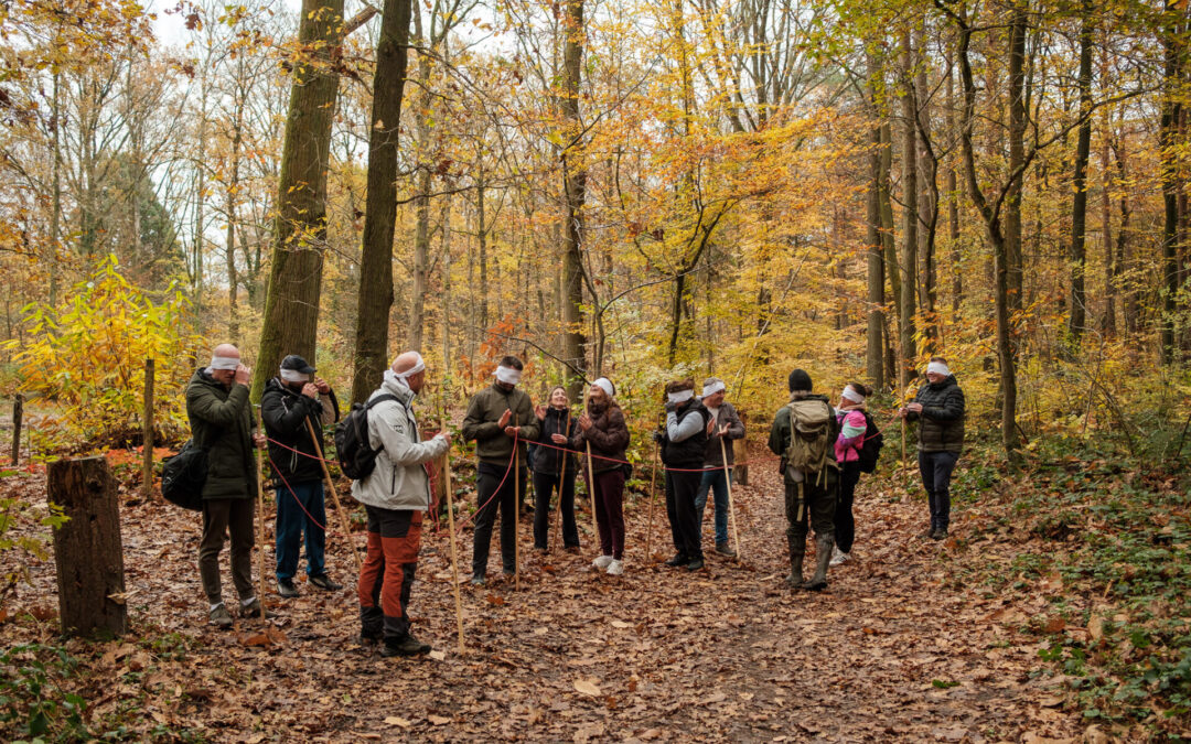 De kracht van natuur in teamdynamiek: hoe de natuur je team sterker maakt